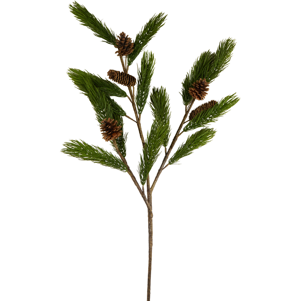 Natural Pinecone Branch Image 2