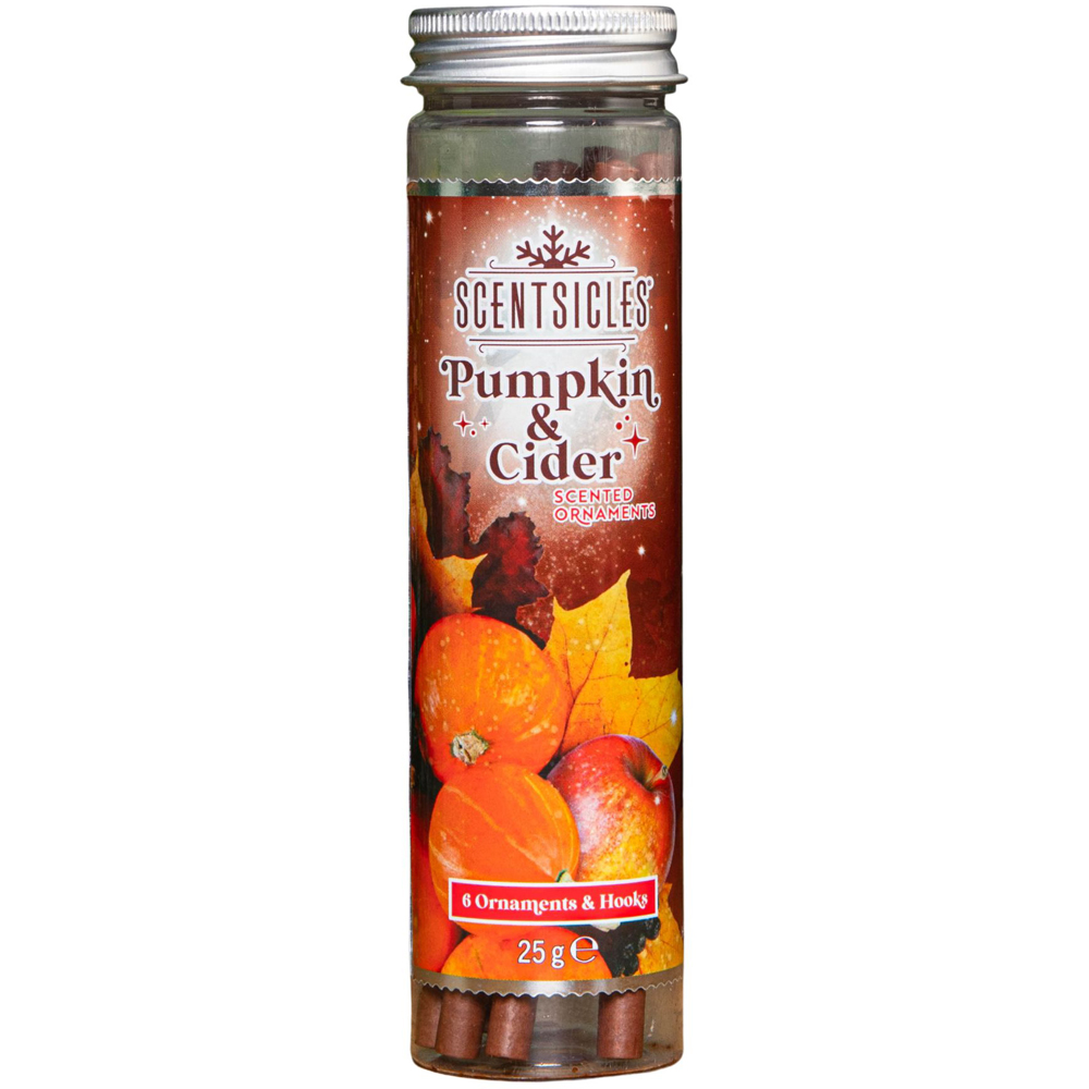 Samuel Alexander Pumpkin and Cider Scented Christmas Scentsicles with Hooks 25g Image 1