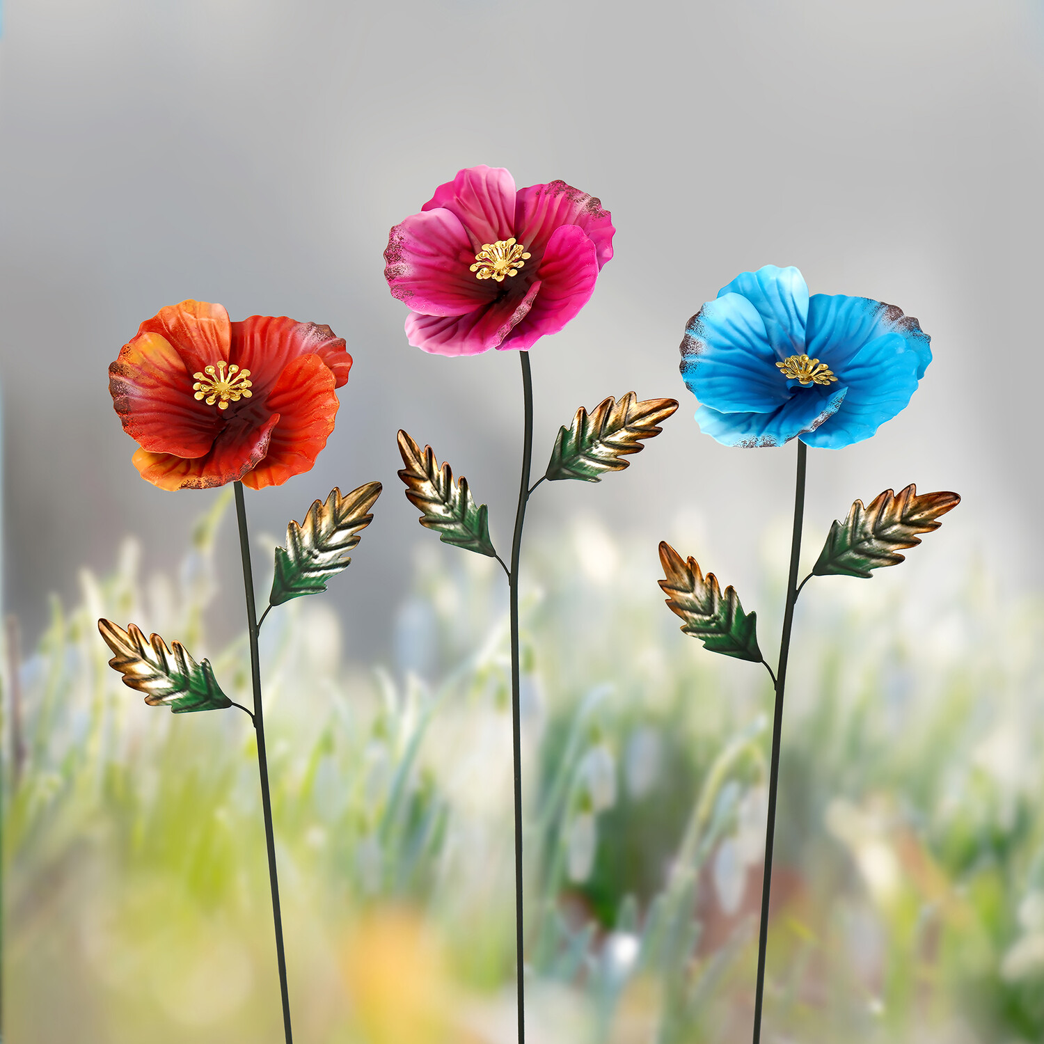 Corn Poppy Stake Image 2