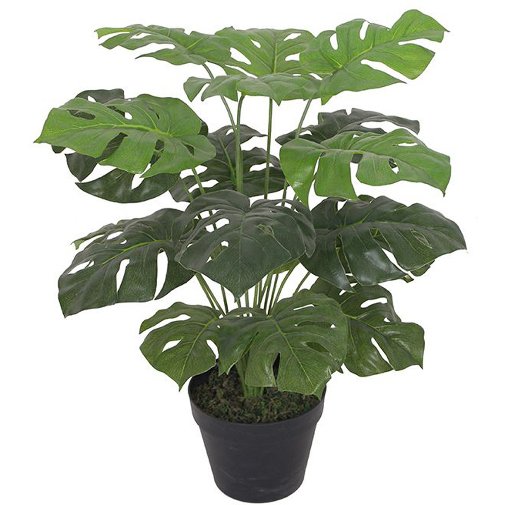 Leaf Monstera Artificial Plant Pot with Moss Covered Finish 60cm Image 1