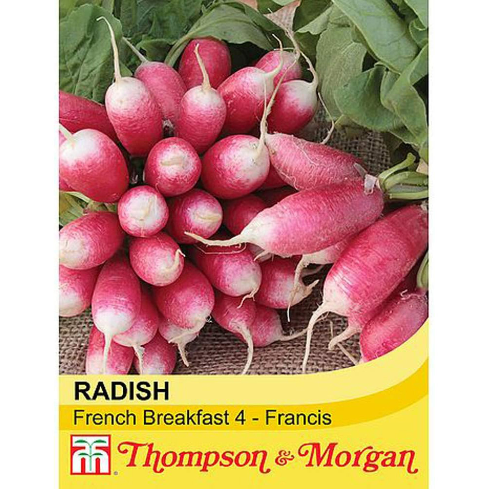 Thompson & Morgan Radish French Breakfast 4 Francis 400 Seeds Packet Image 2