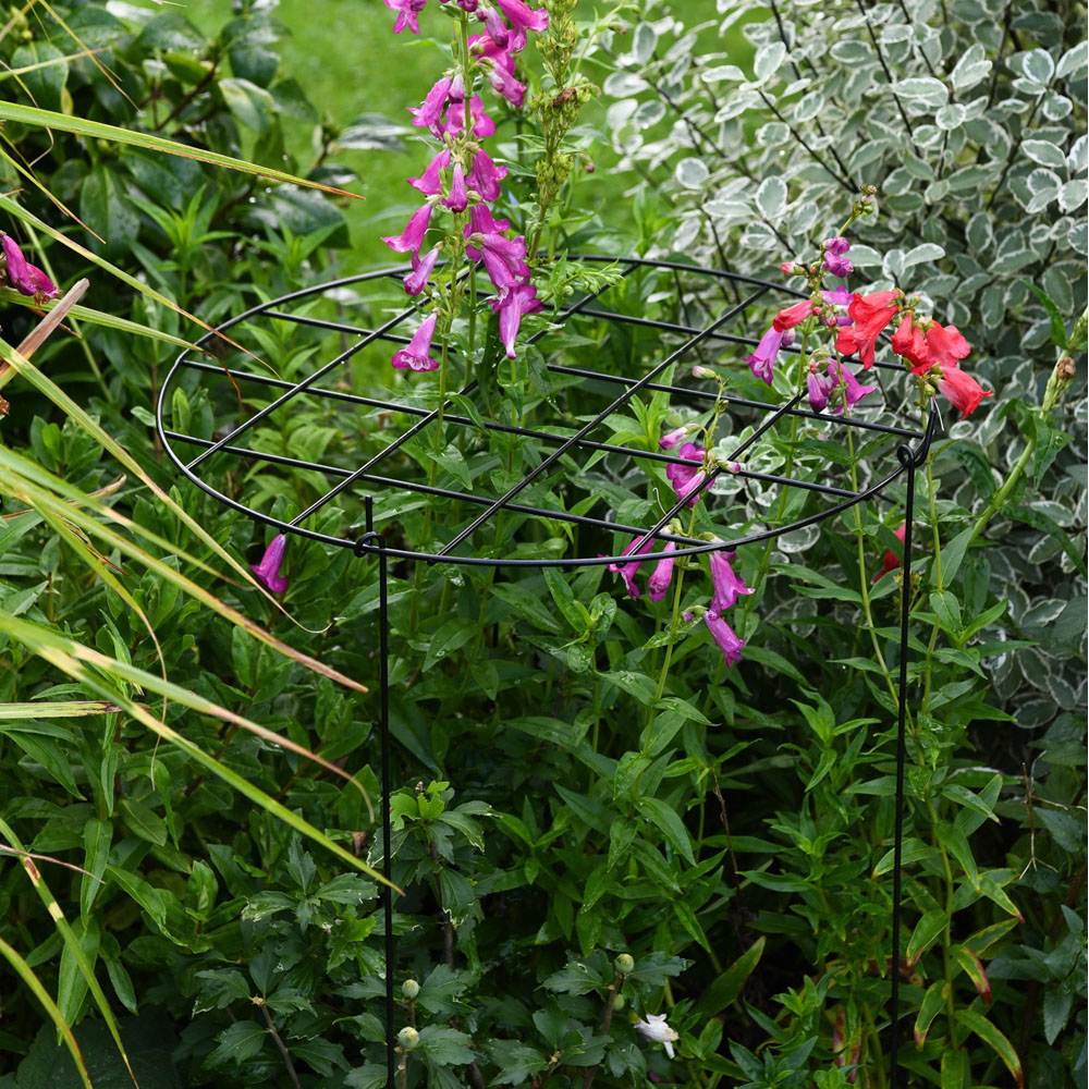 Garden Gear Grow Through Large Round Grid Support 50cm Image 2