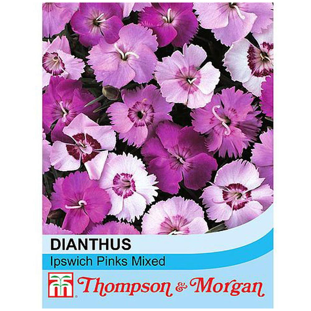 Thompson and Morgan Dianthus Plumarius Ipswich Pinks Mixed Seeds Image 2