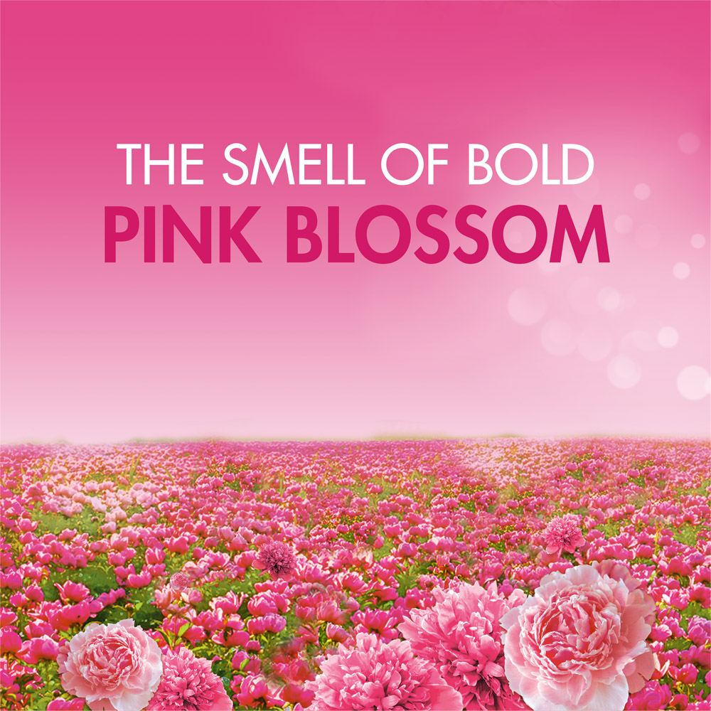 Bold 2 in 1 Pink Blossom Washing Liquid 57 Washes 1.995L Image 4