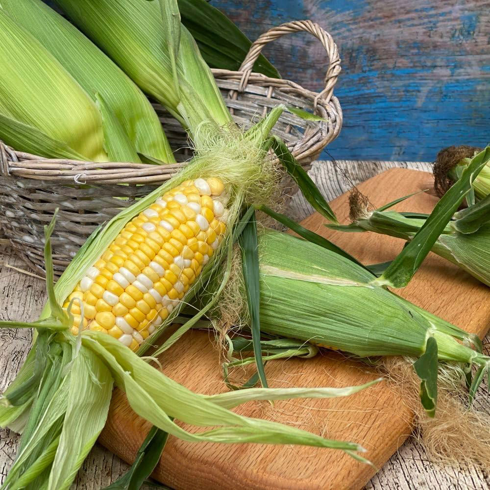 Thompson & Morgan Sweetcorn Pot of Gold F1 20 Seeds Packet Image 4