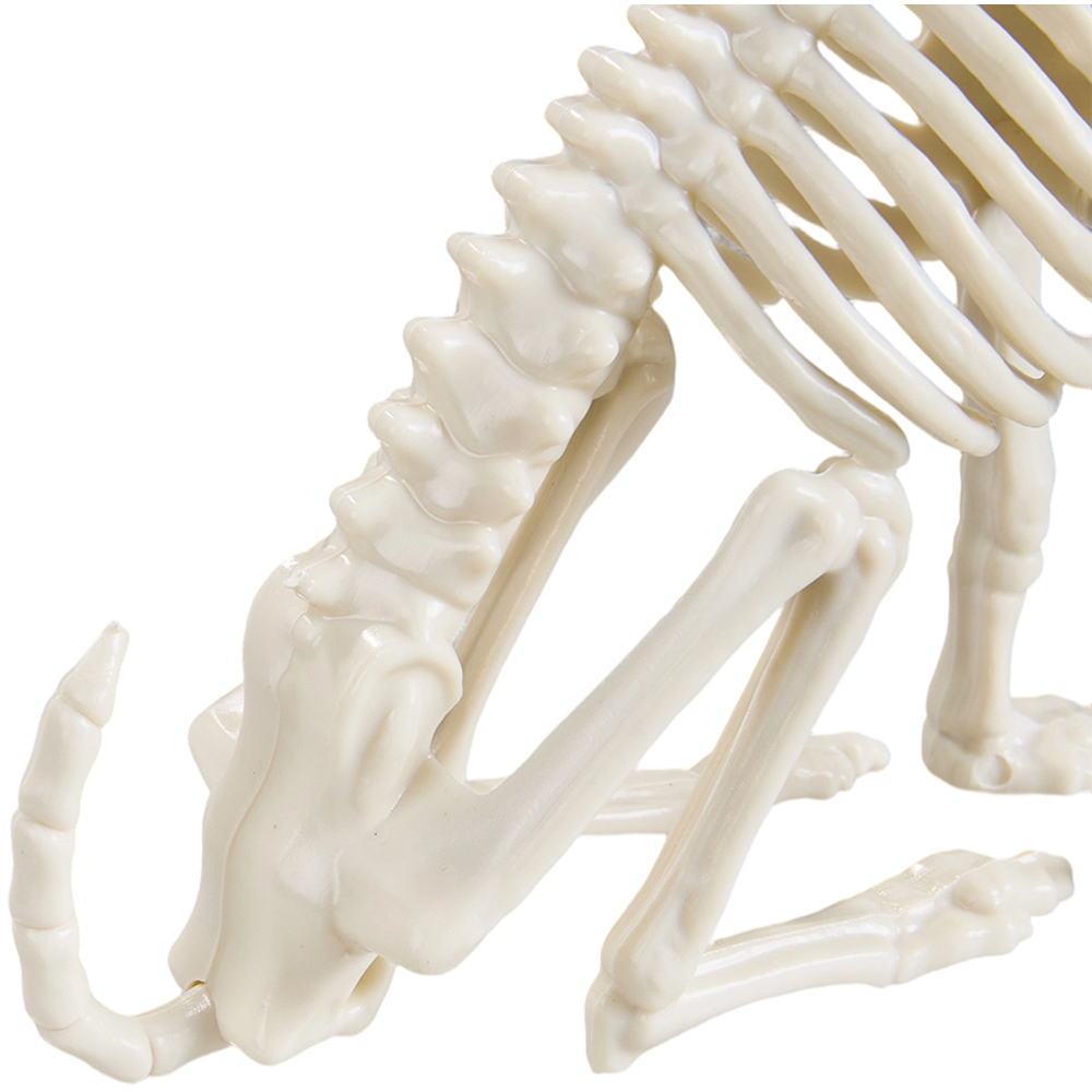 Living and Home Cream White Spooky Cat Skeleton Bone Statue Halloween Figurine 23.5cm Image 3