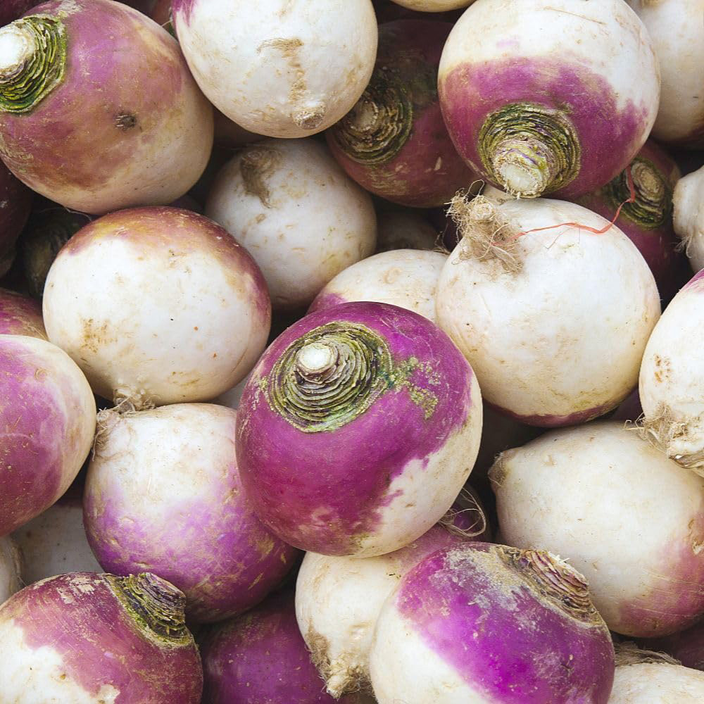 Thompson and Morgan Turnip Armand Seed Packet Image 2