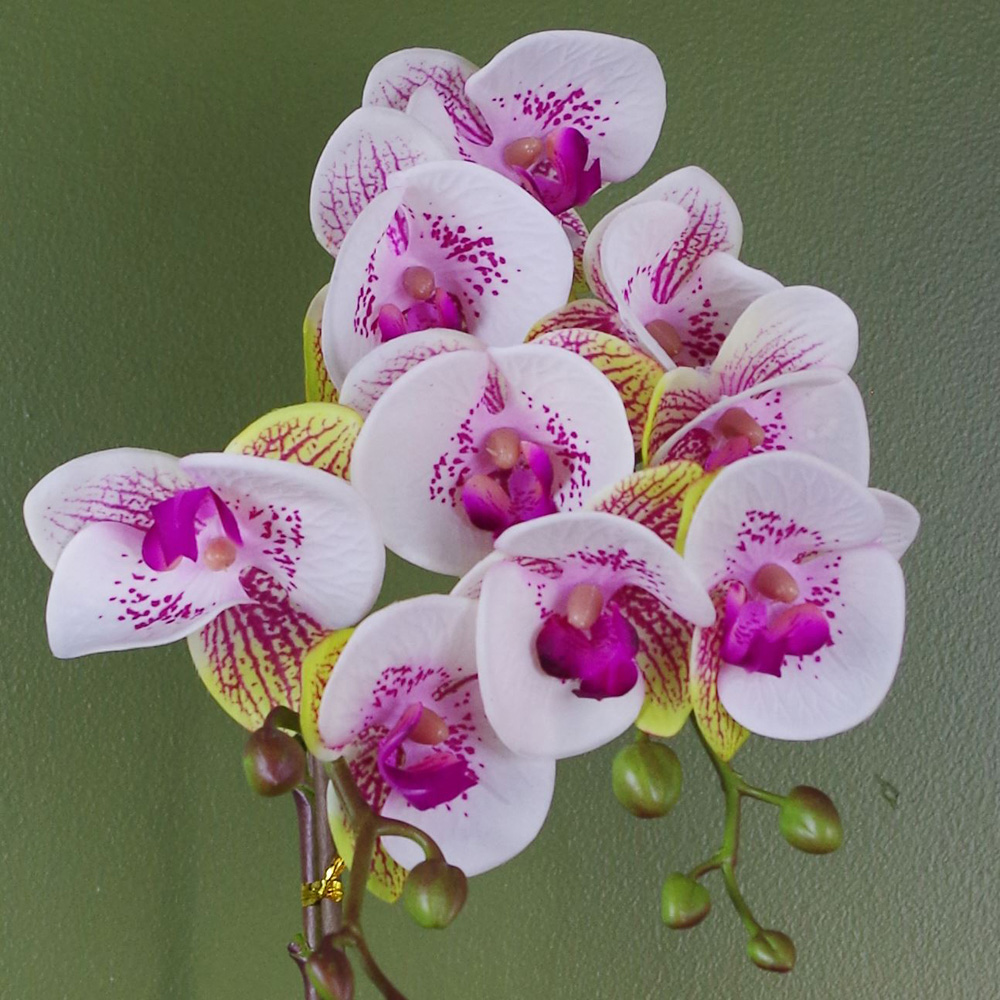 Leaf Pink Harlequin Orchid Artificial Plant in Gold Pot 48cm Image 3