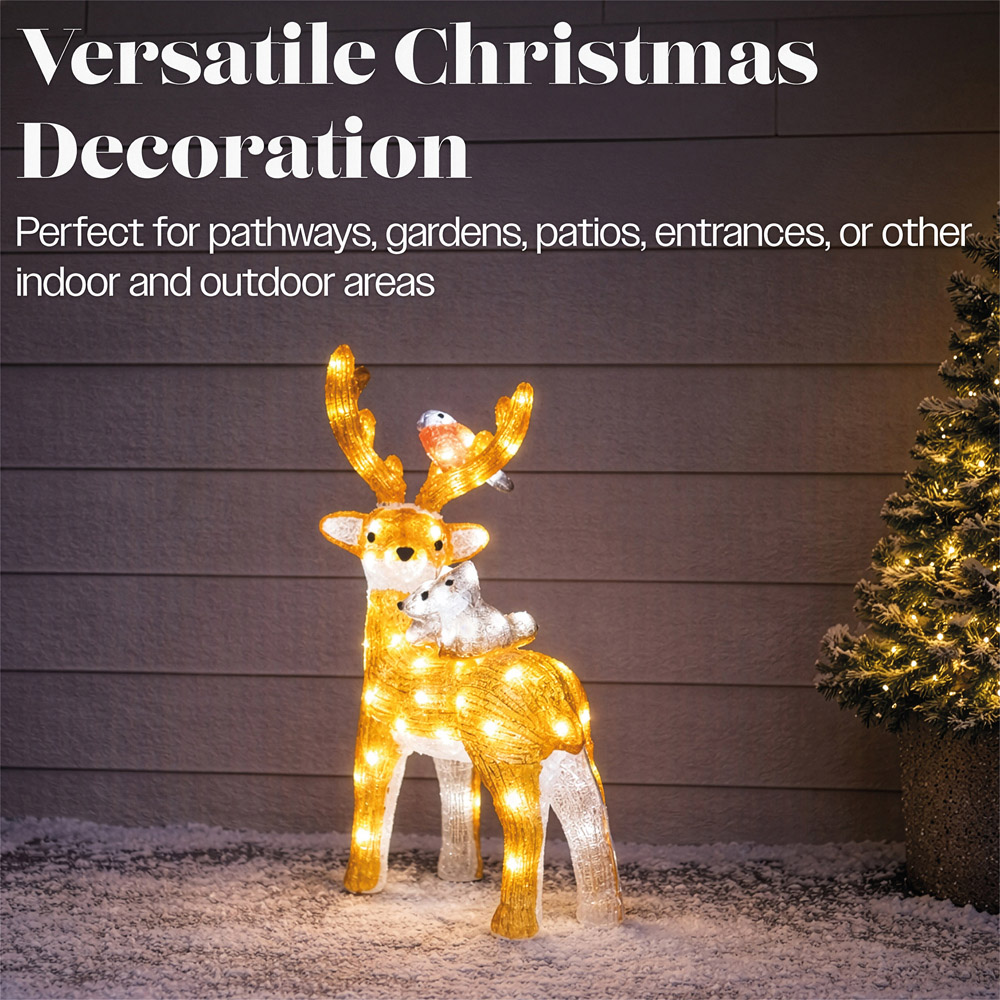 Xmas Haus 80 Bright White LED Acrylic Deer with Bird and Squirrel Christmas Decoration 60cm Image 6