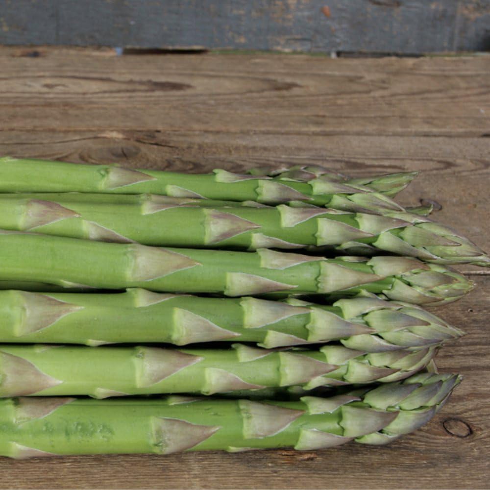 Thompson and Morgan Asparagus Gijnlim Crown 5 Pack Image 4