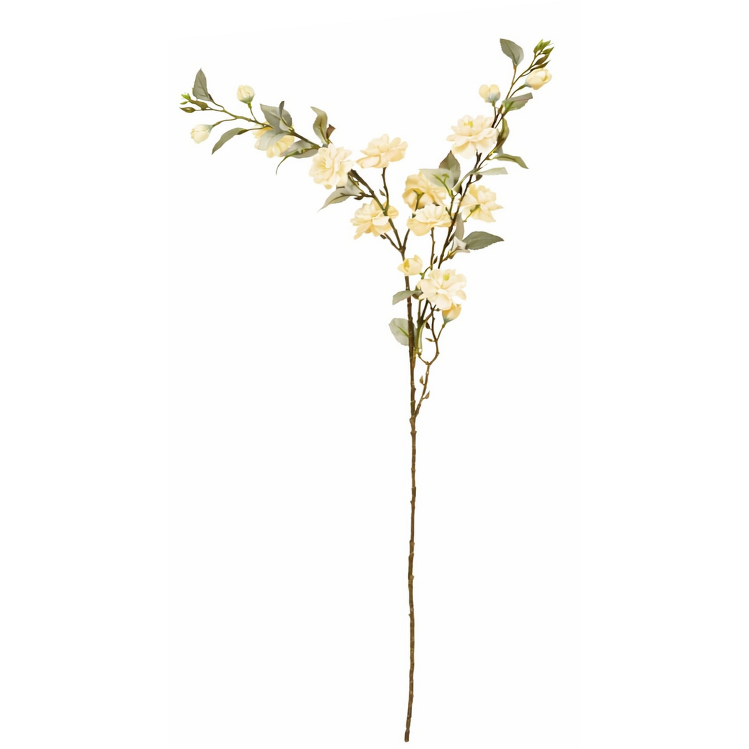 Camellia Stem Image 8