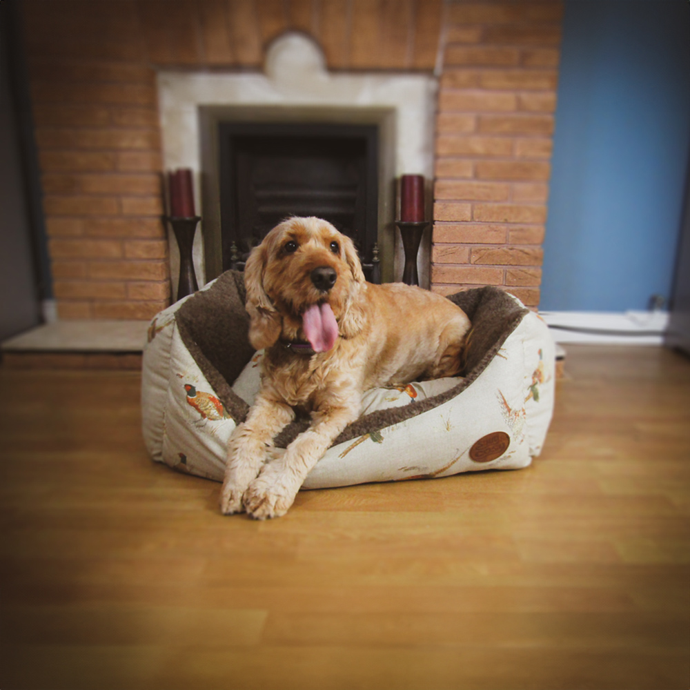 Snug & Cosy Large Rectangle Pheasant Print Dog Bed Image 2