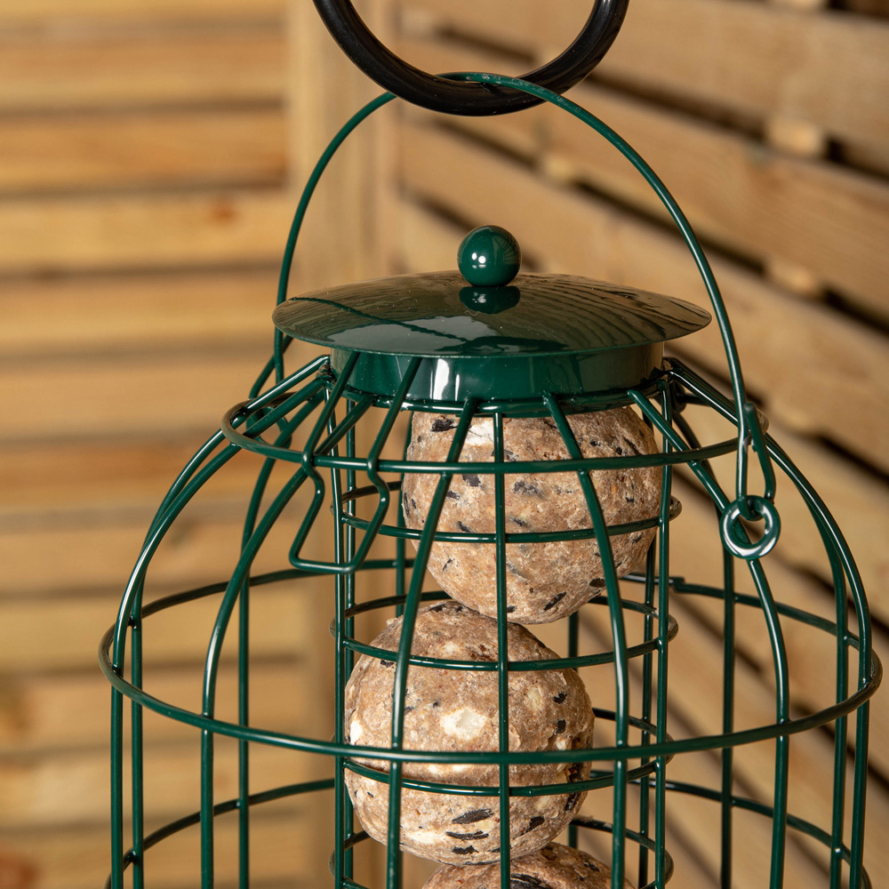 Samuel Alexander 2 Pack Metal Hanging Bird Feeder with Squirrel Guard and Suet Fat Ball 6 Pack Image 7