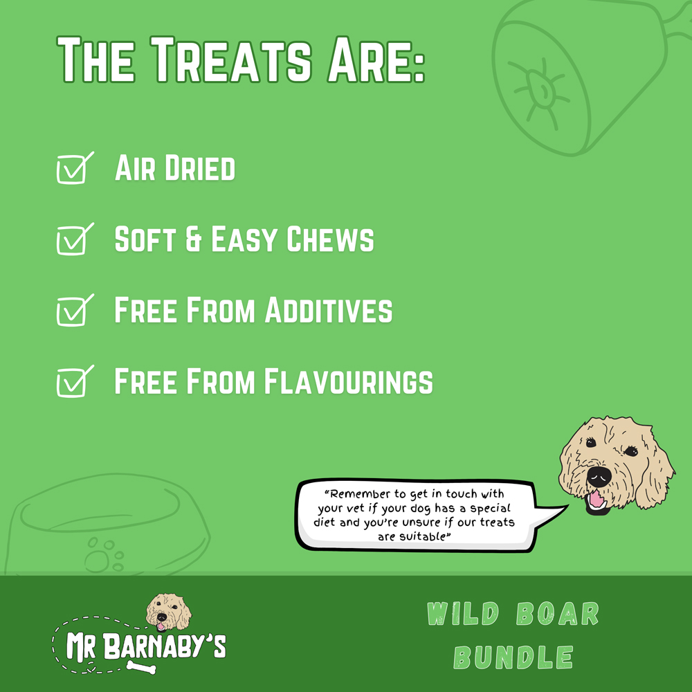 Mr Barnaby's Wild Boar Dog Treats Bundle 2 Pack Image 3
