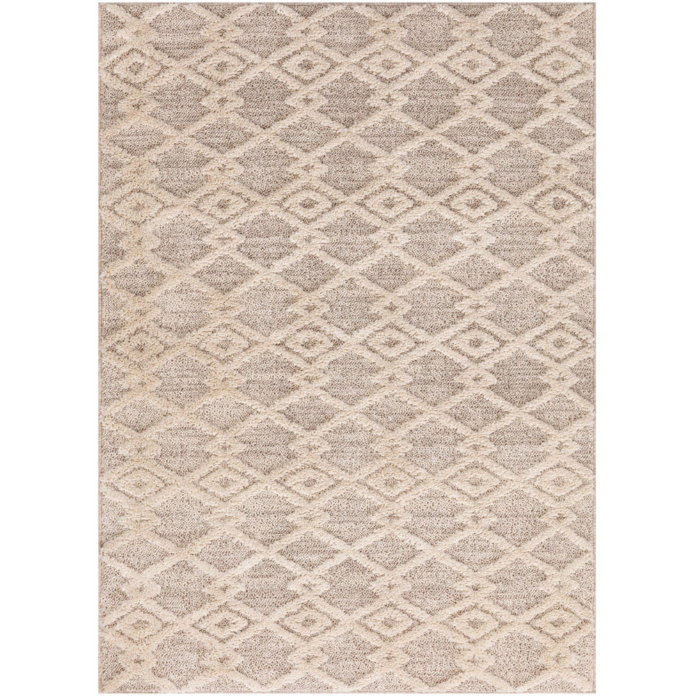 Apollo Geometric Patterned Rug  - Neutral / 120cm Image 1