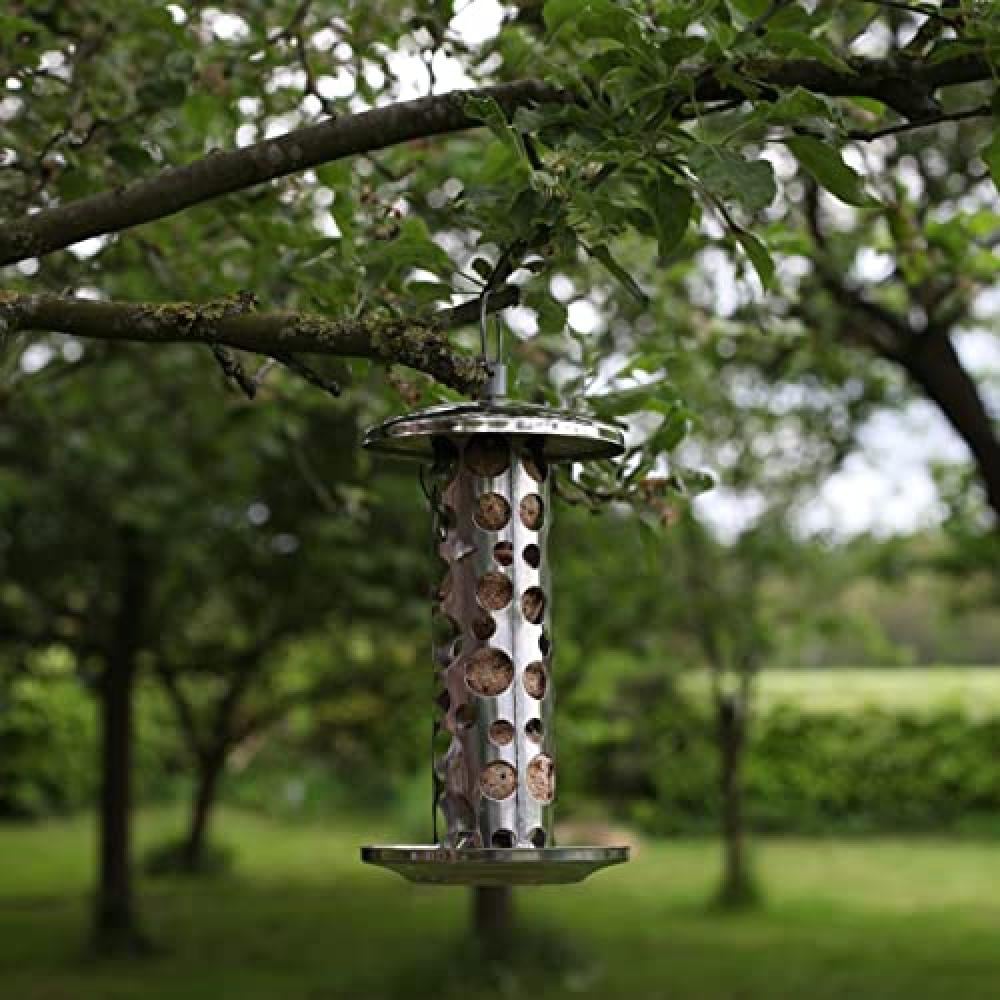 Fallen Fruits Stainless Steel Fatball Feeder and Dispenser Image 3