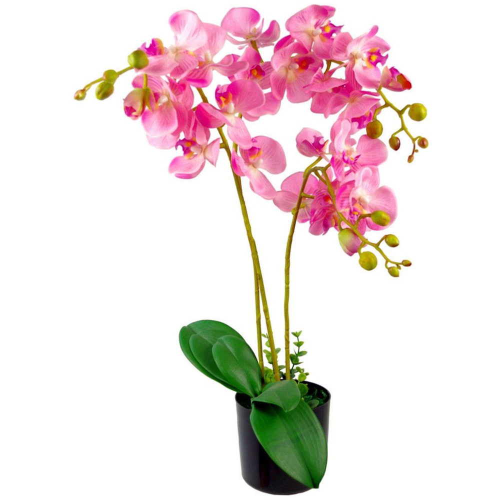Leaf Pink Orchid Artificial Display Flower Pot 60cm Image