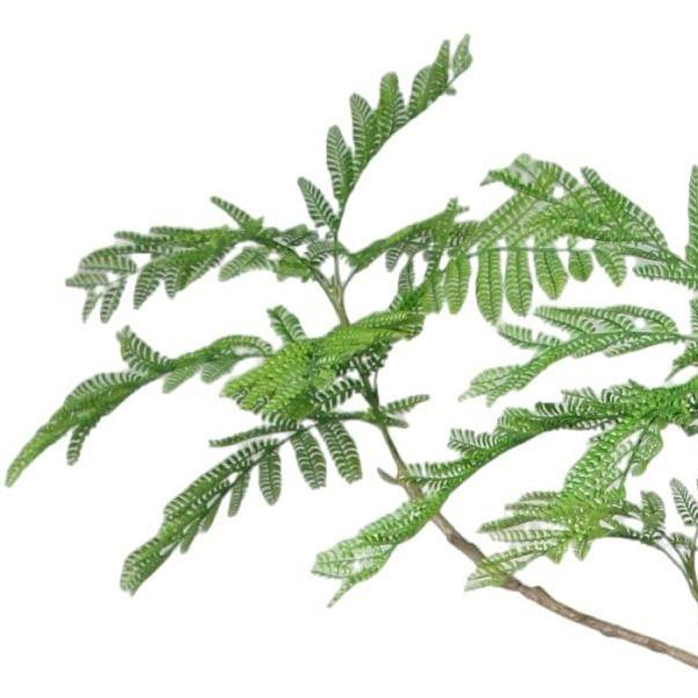 Botanik Jacaranda Artificial Tree in Pot 8ft Image 2