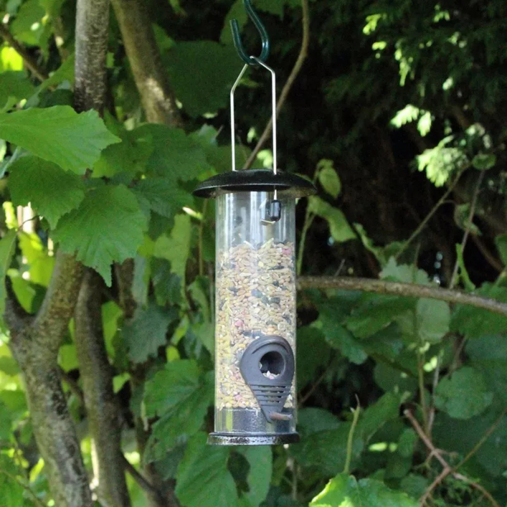 Marco Paul Premium Hammertone Bird Seed Feeder 3 Pack Image 2