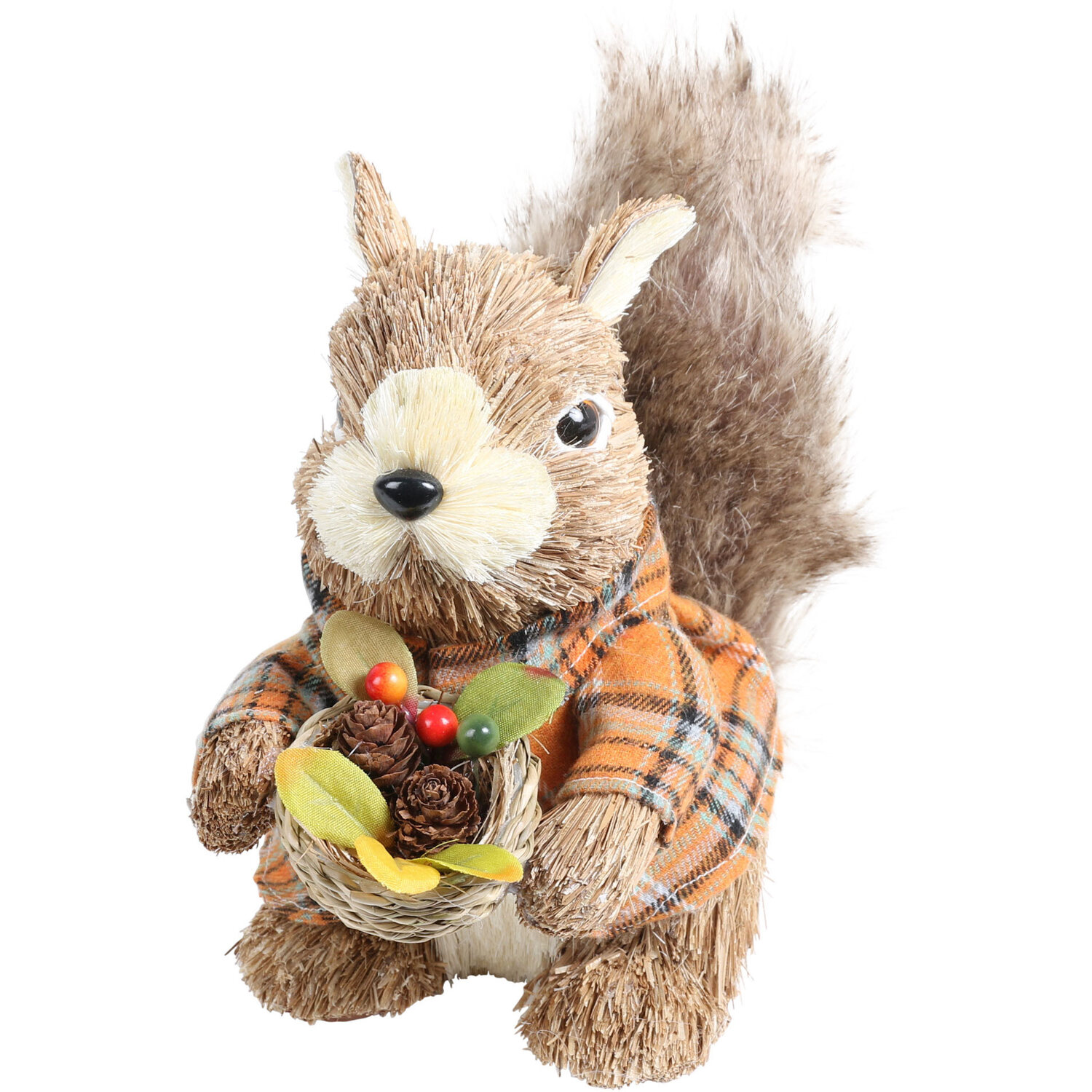Autumn Squirrel - Natural Image 8