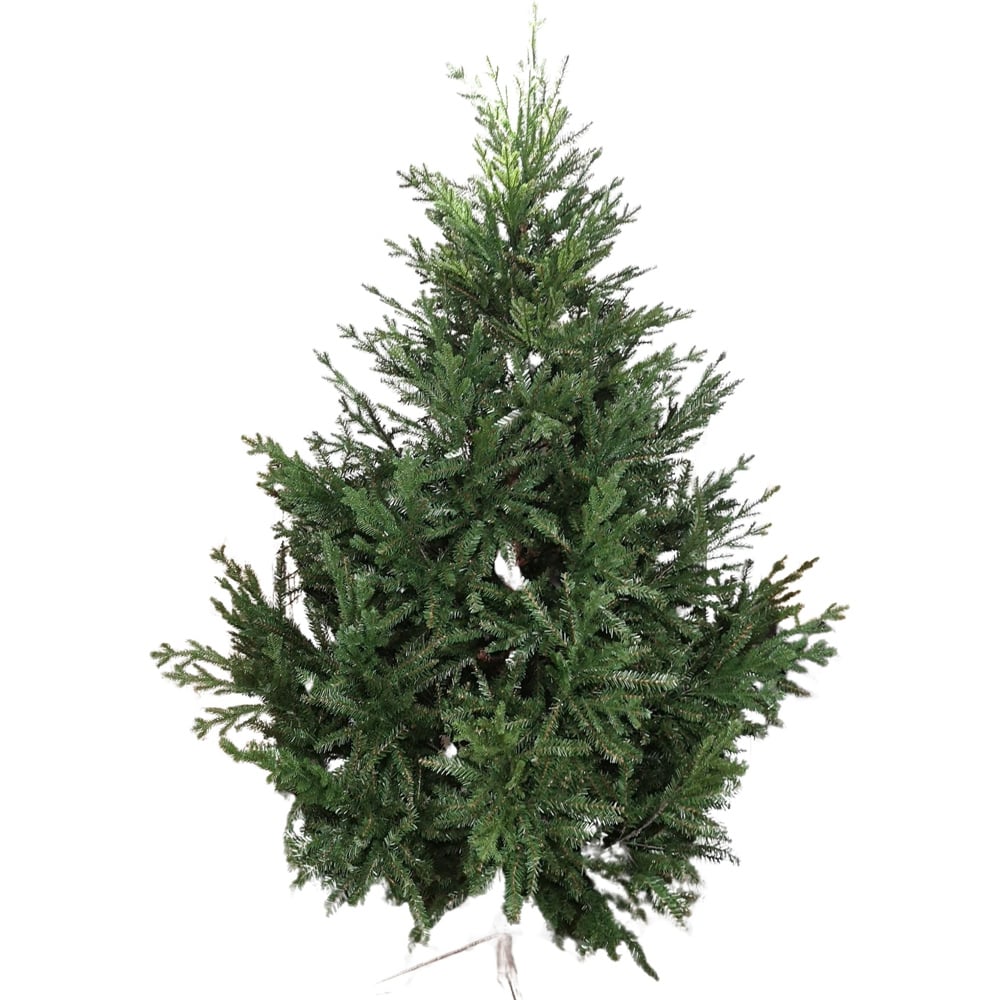 Samuel Alexander Green Glenshee Spruce Artificial Christmas Tree 8ft Image 1
