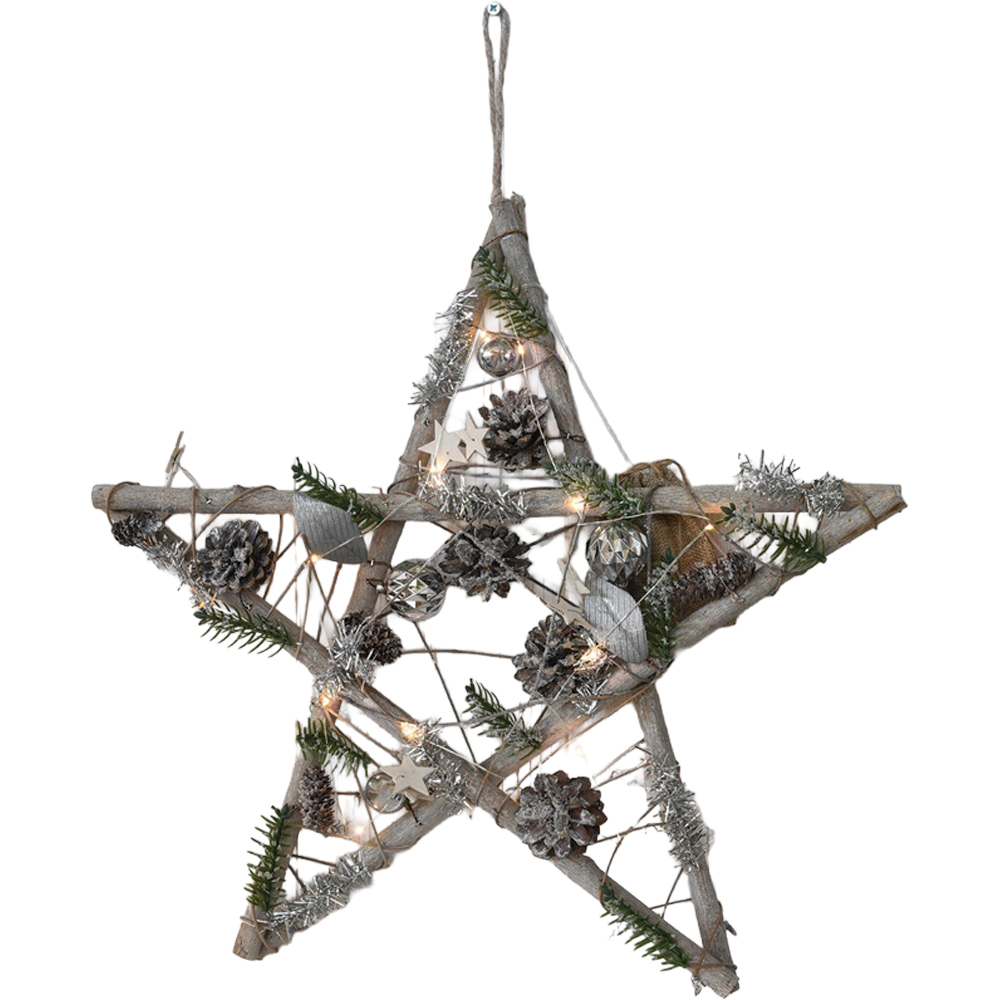 Alpine Lodge Light Up Star with Floristry Christmas Ornament Image 1