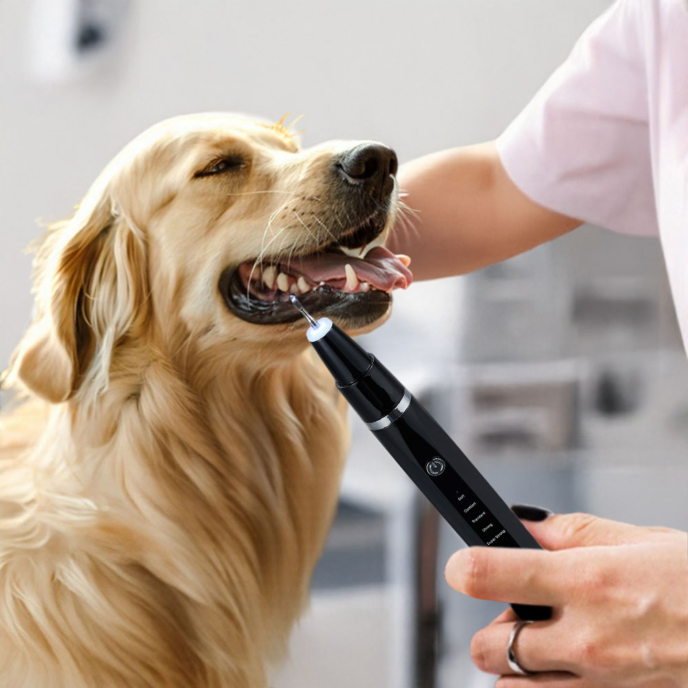 H&O Direct Black Rechargeable Pet Teeth Cleaning Kit Image 2