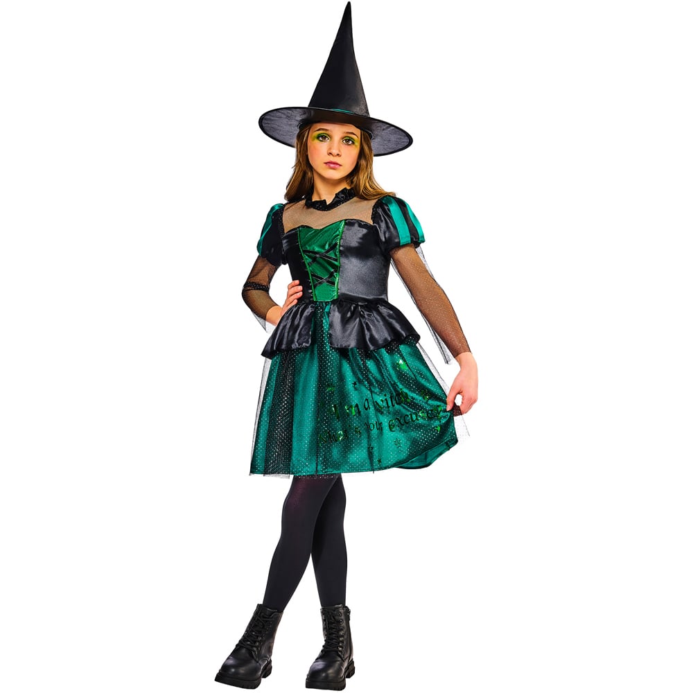 Wizard of OZ Wicked Witch Halloween Costume 9 to 10 Years Image 5