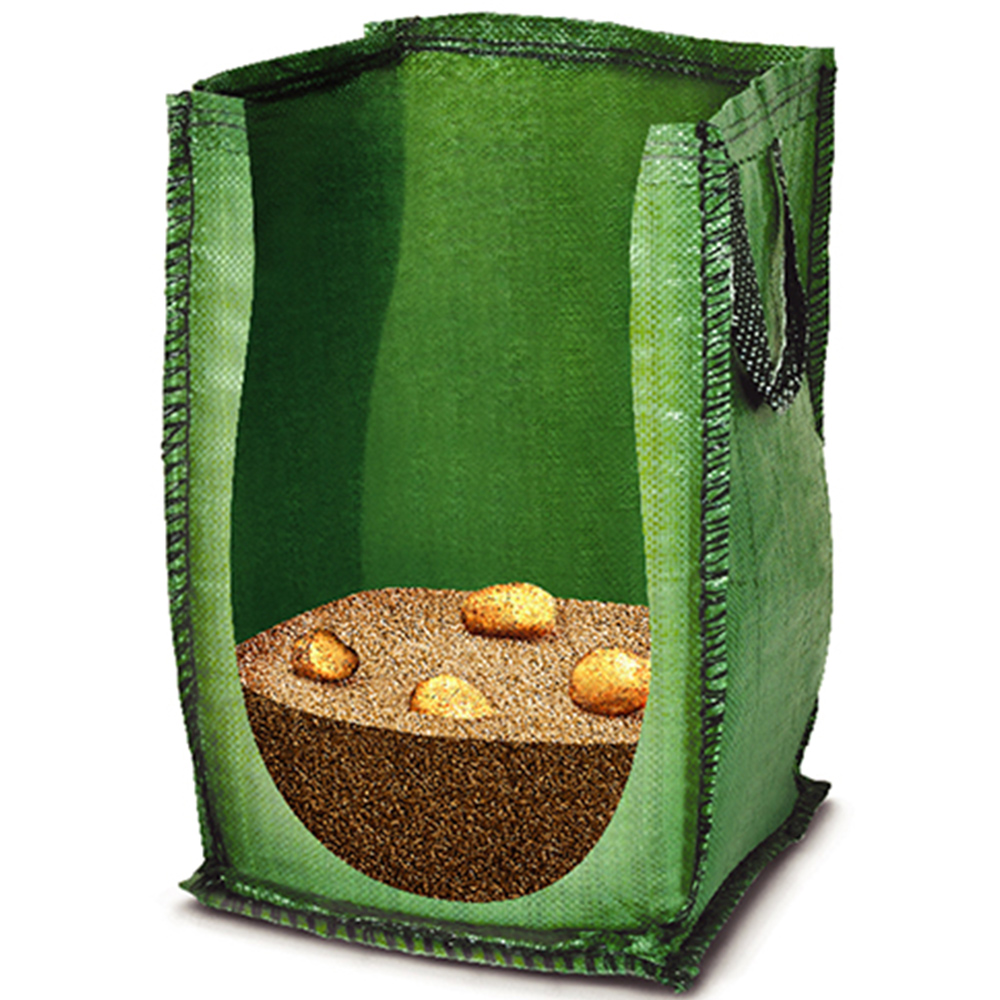 wilko Charlotte Pentland Javelin and Desiree Patio Potato Selection with Growing Bags Image 2