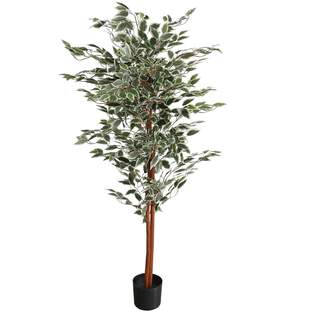 Leaf Ficus Natural Variegated Leaves Artificial Plant Pot 160cm Image 1