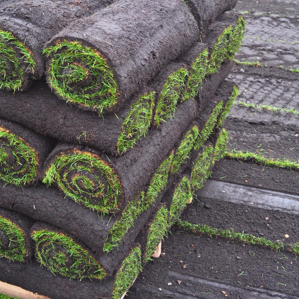 Harrowden Lawn Turf 40sqm Image 6