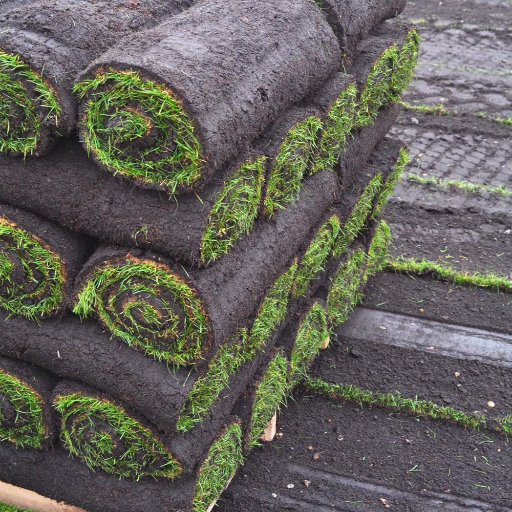 Harrowden Lawn Turf 20sqm Image 6