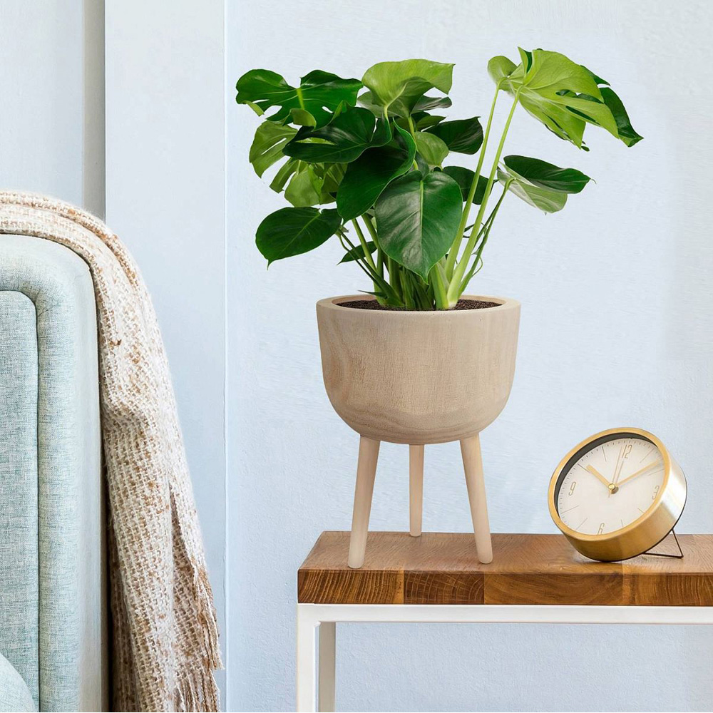 LECHUZA Hortico Gaia Wooden Round Indoor Plant Pot 36 x 25cm 2 Pack Image 2