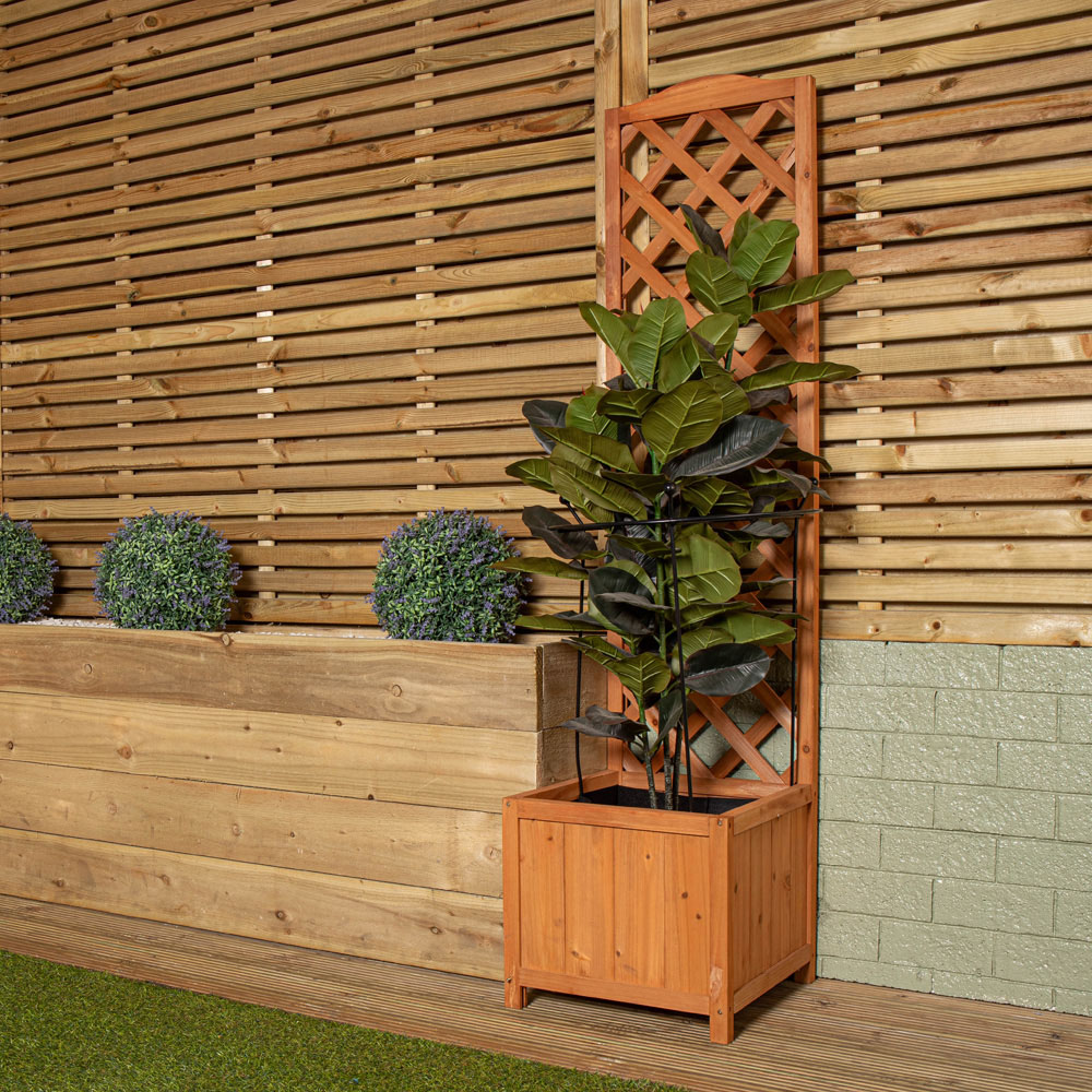 Tom Chambers Cottage Black Metal Steel Herbaceous Plant Support 80 x 45cm Image 3