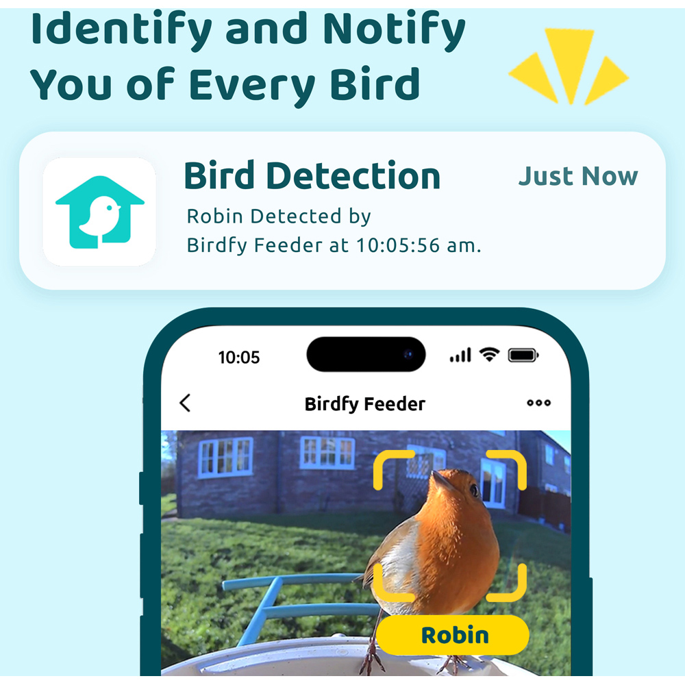 Birdfy Smart Solar Bird Feeder with 1080p HD AI Camera Image 3