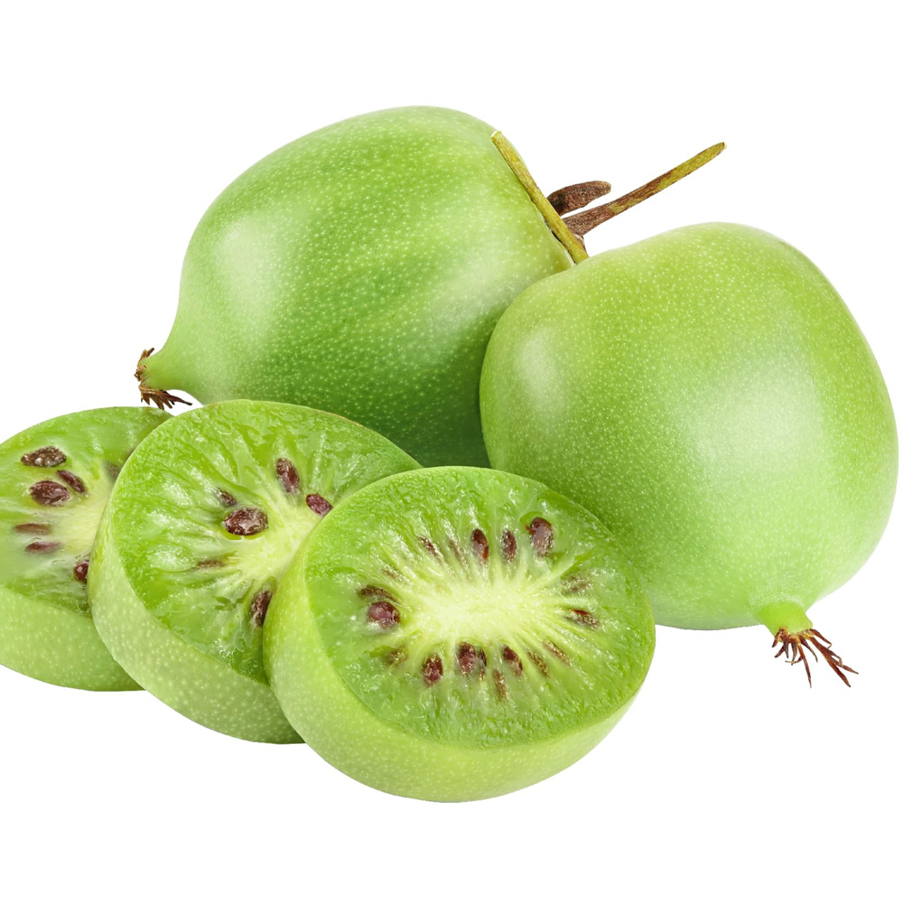 Thompson and Morgan Actinidia Kiwi Arguta Geneva Plant Pot 15cm Image 3