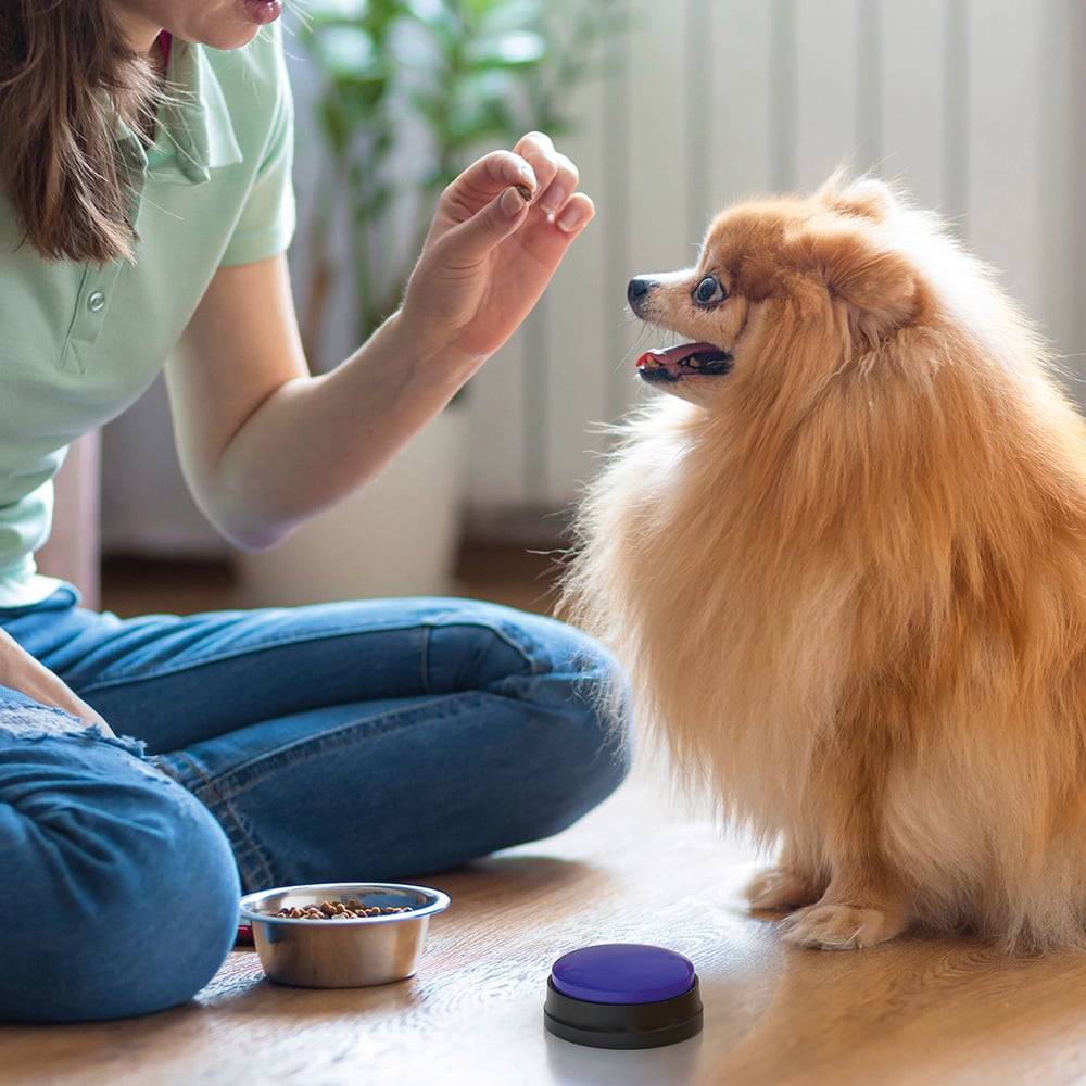 JML Paws2Talk Dog Training Button System Image 8