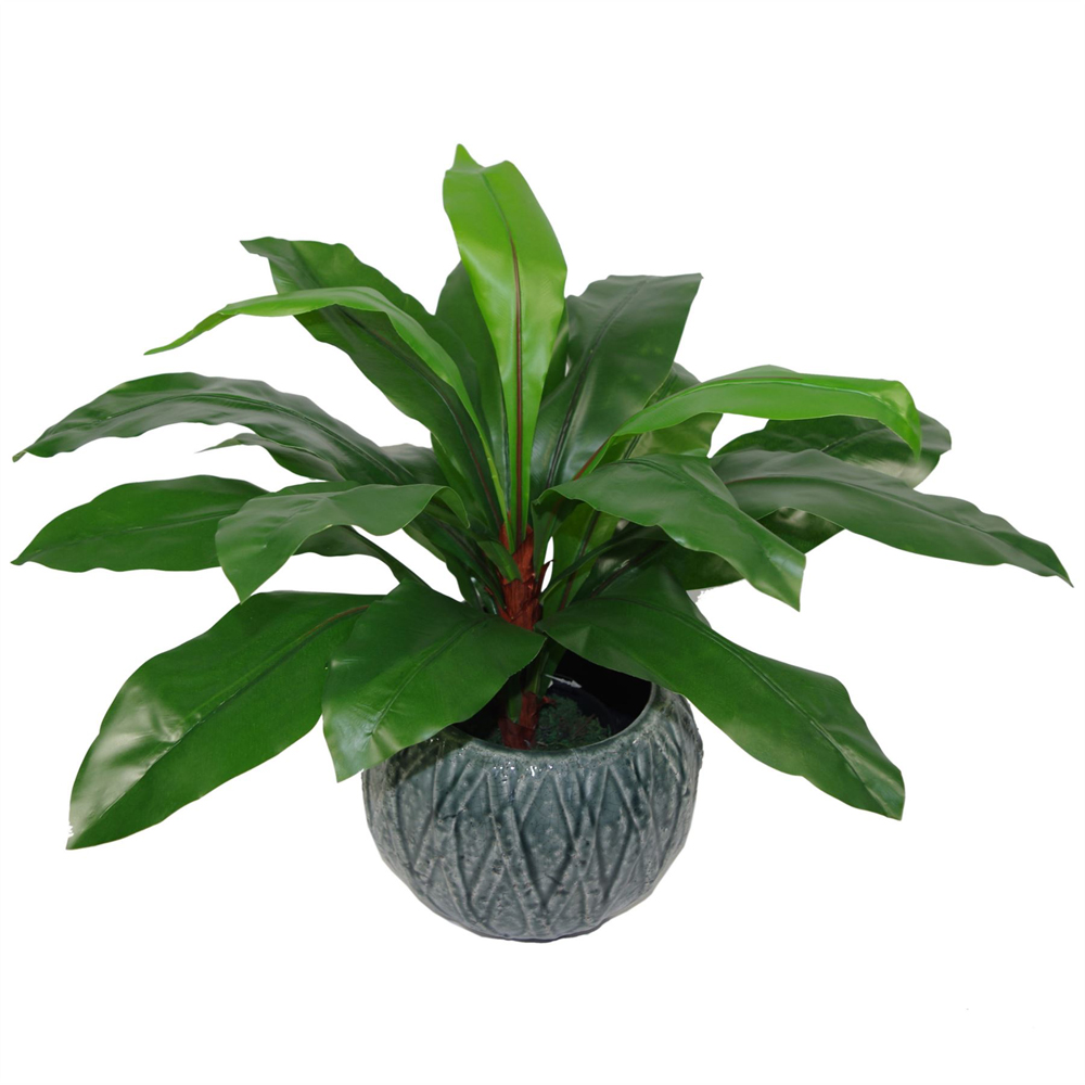 Leaf Tropical Dark Bushy Fern Artificial Tree Pot 2ft Image 4