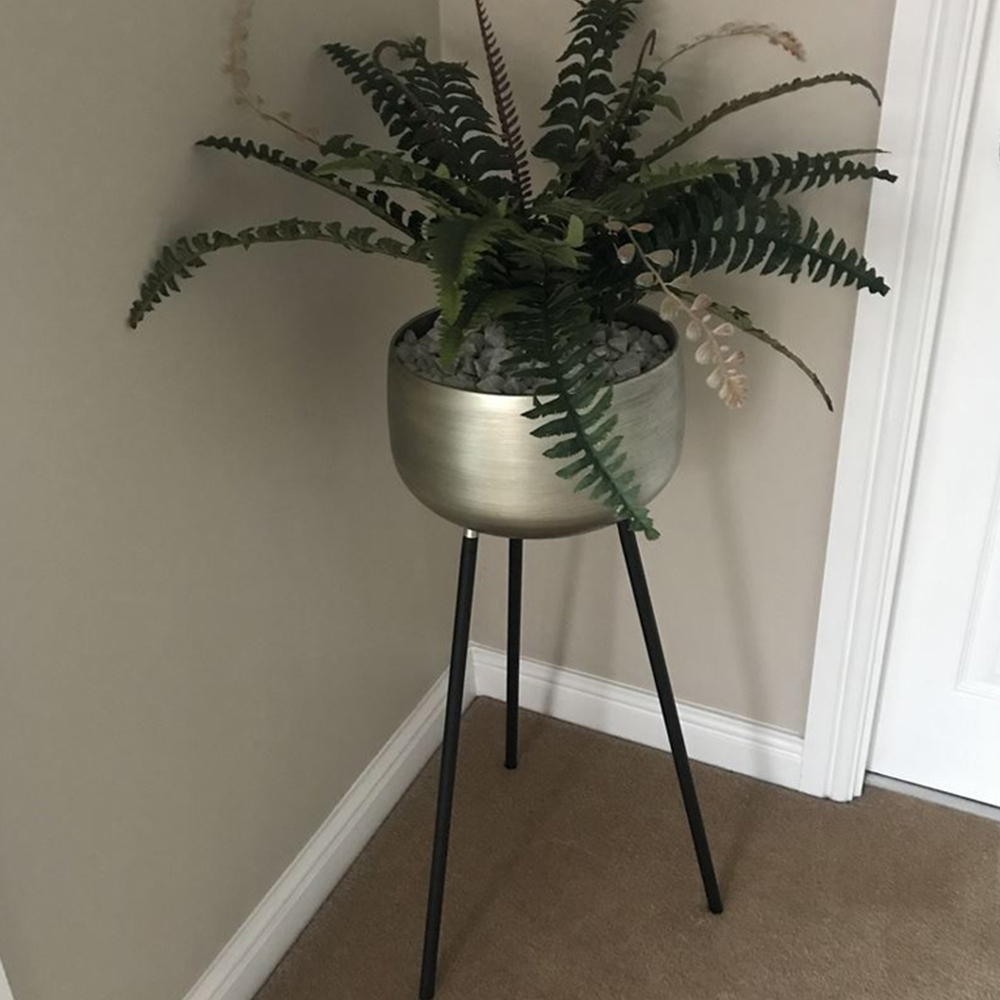 Botanik Boston Nest Fern Artificial Plant in Pot 60cm Image 2