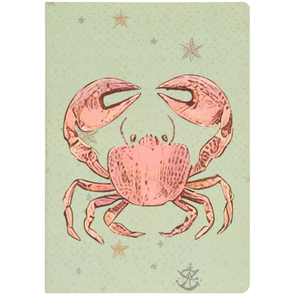 Pack of 3 Sealife Notebooks A5 Image 4