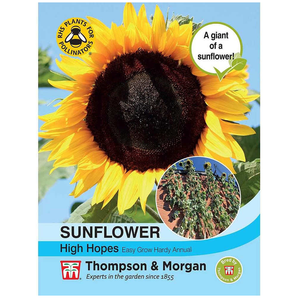 Thompson and Morgan Helianthus Annus Sunflower High Hopes Seeds Image 2