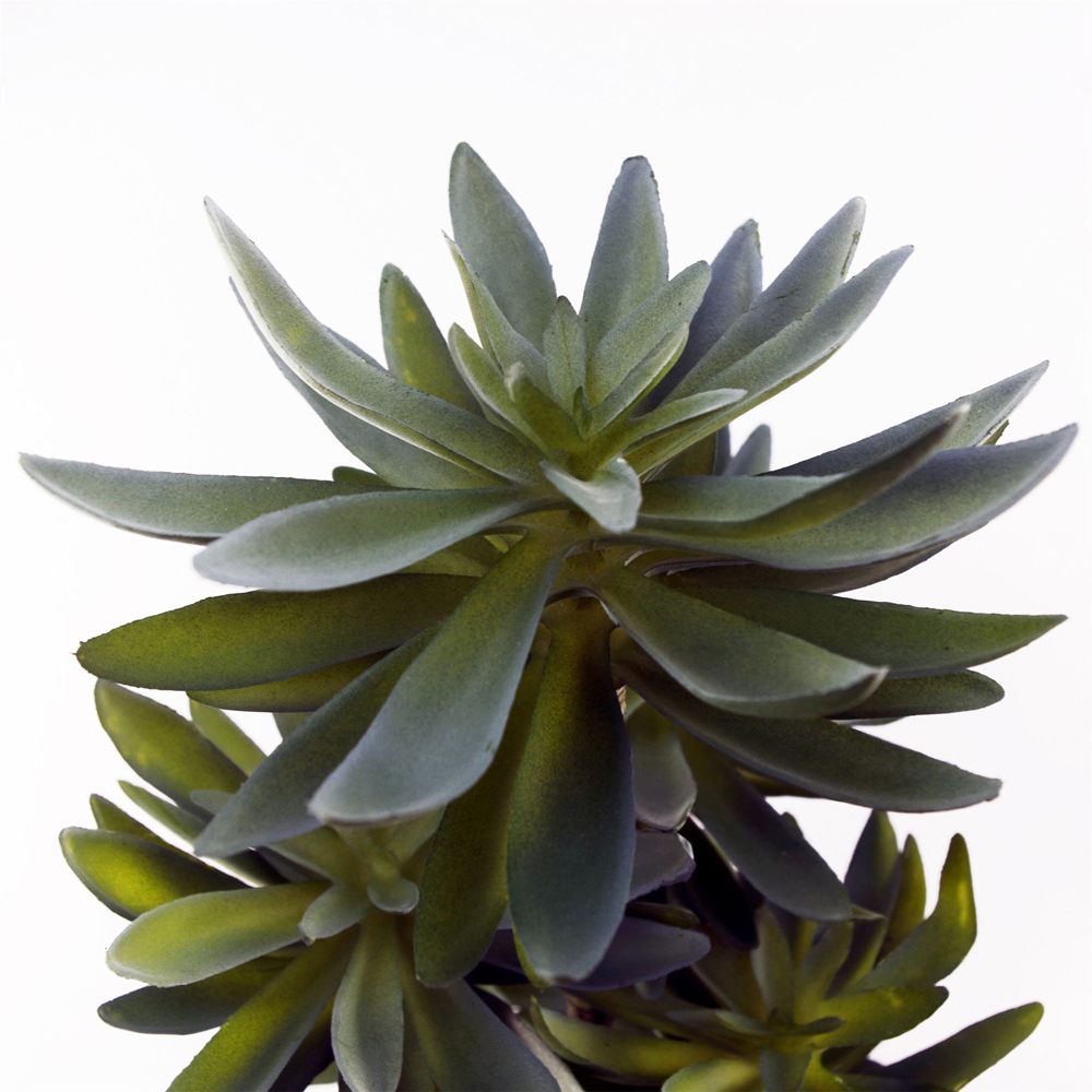 Leaf Tropical Yukka Artificial Plant in Pot 2ft Image 2