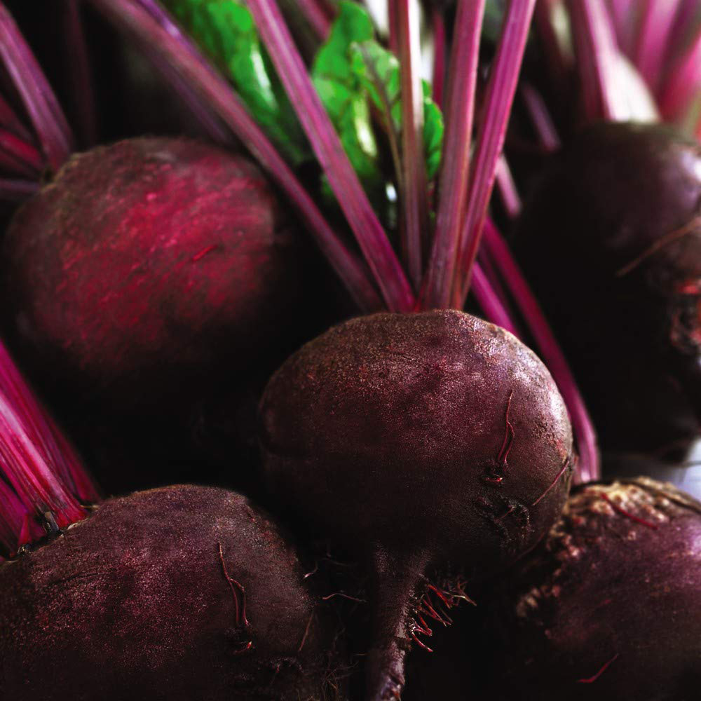 Thompson & Morgan Organic Detroit 2 Beetroot Seed Packet Image