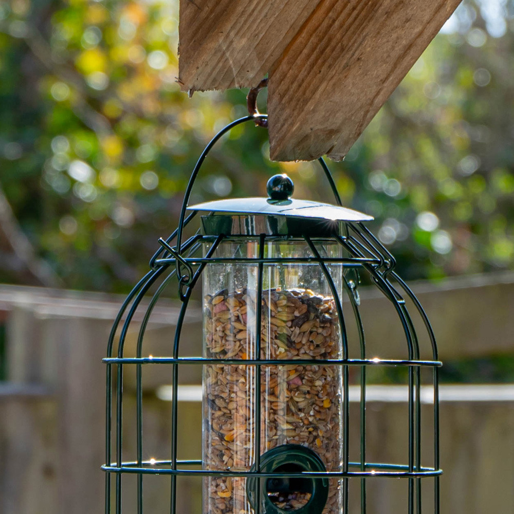 Samuel Alexander Metal Hanging Bird Seed Feeder with Squirrel Guard 3 Pack and 1kg Seed Feed Image 7