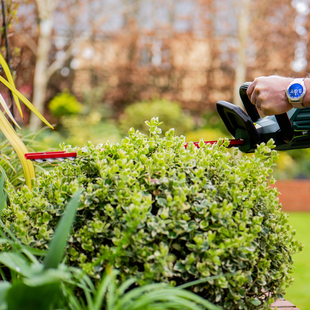 Webb 20V 50cm Cordless Hedge Trimmer with Dual Action Blade Image 8