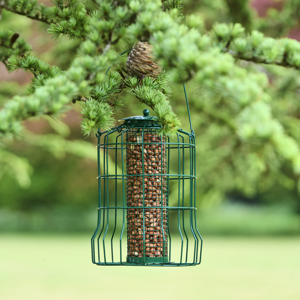 SA Products Squirrel Proof Bird Feeder Image 2