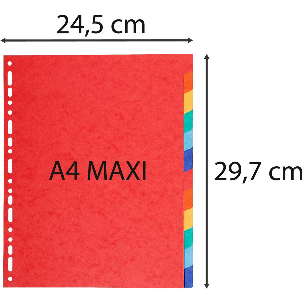 Exacompta Forever A4 Maxi 12 Section Assorted Colour Divider 25 Pack Image 3