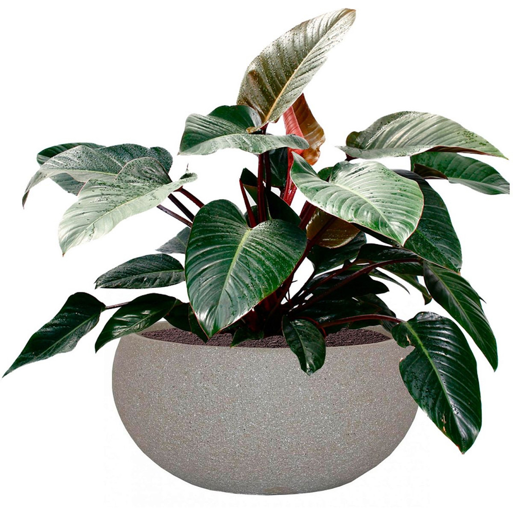 wilko Textured Sand Concrete Outdoor Bowl Planter 14cm Image 3