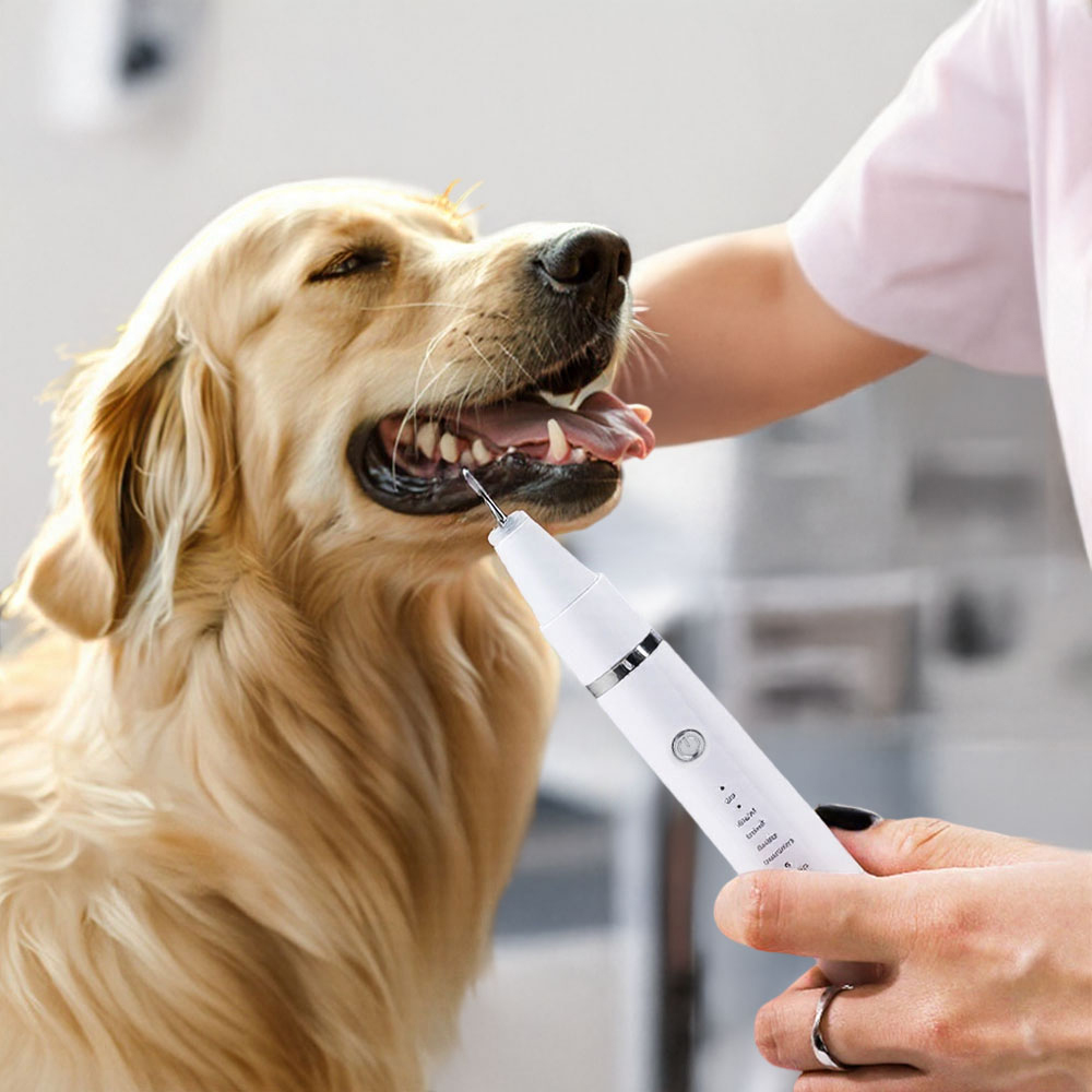 H&O Direct White Rechargeable Pet Teeth Cleaning Kit Image 2