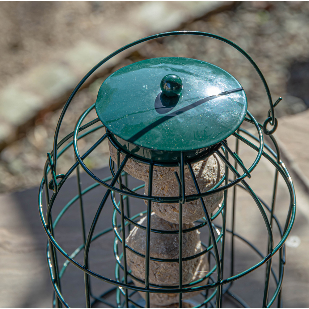 Samuel Alexander 2 Pack Metal Hanging Bird Feeder with Squirrel Guard and Suet Fat Ball 6 Pack Image 6
